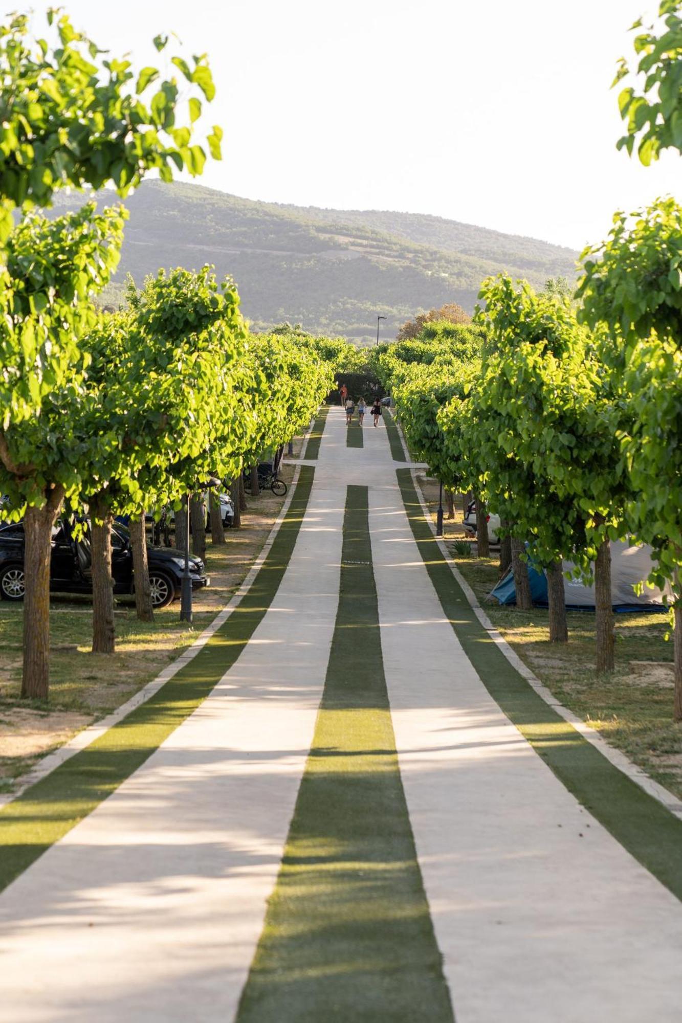 Vall D'Ager Resort & Camping Εξωτερικό φωτογραφία